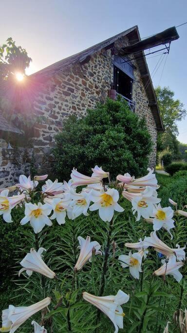 Unique Room With Great View In A Former Old Barn Troche Exterior foto